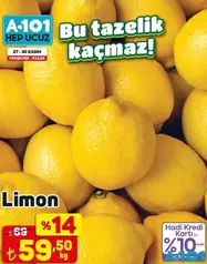 LİMON KG fiyat ve kampanya bilgisi